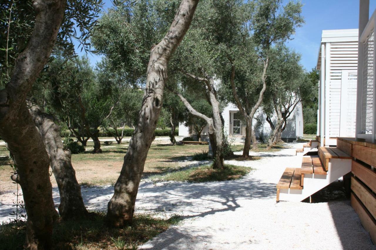 Mobile Homes Katinka, Starigrad Paklenica, Croatia Екстериор снимка
